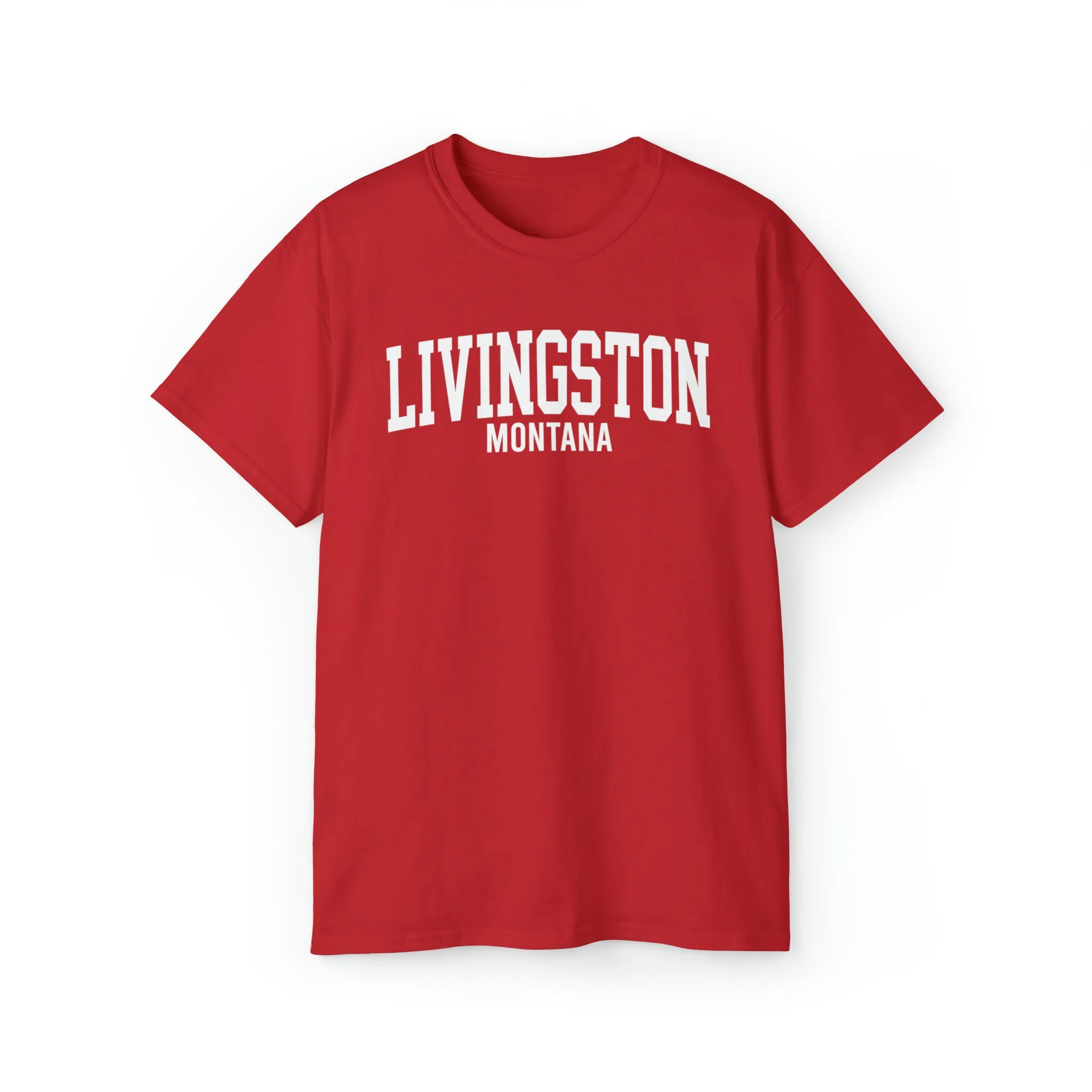 Livingston Montana t-shirt